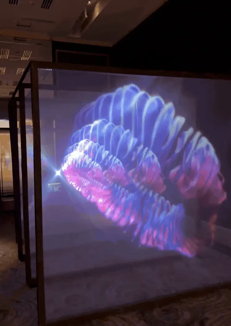Immersive launch experience with a luminous dimensional projection